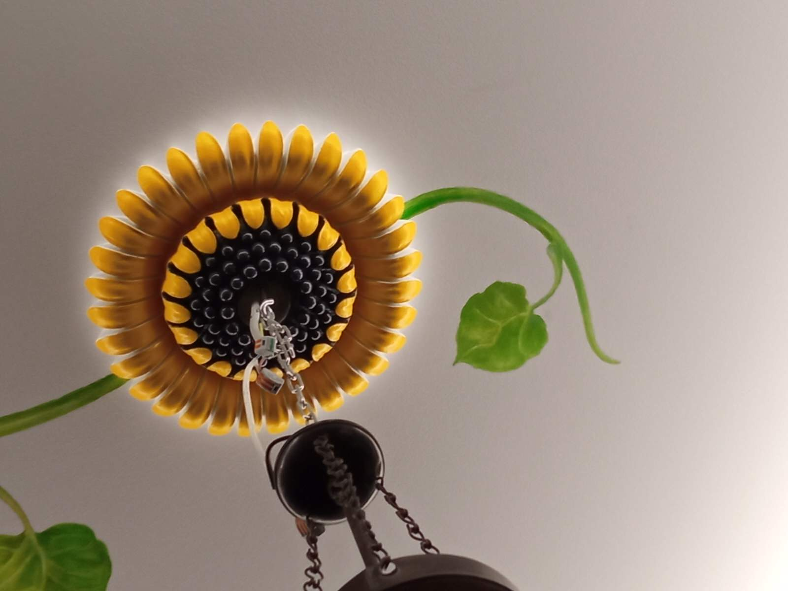 Роспись потолка на кухне