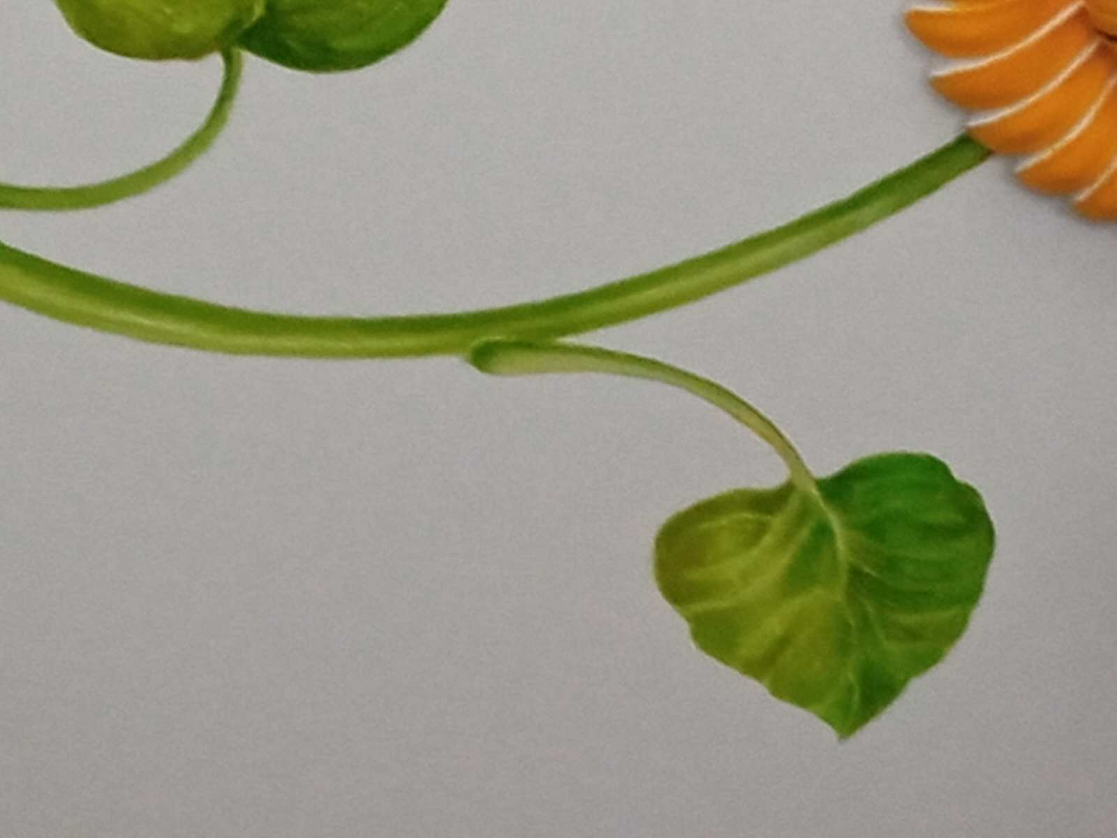 Роспись потолка на кухне