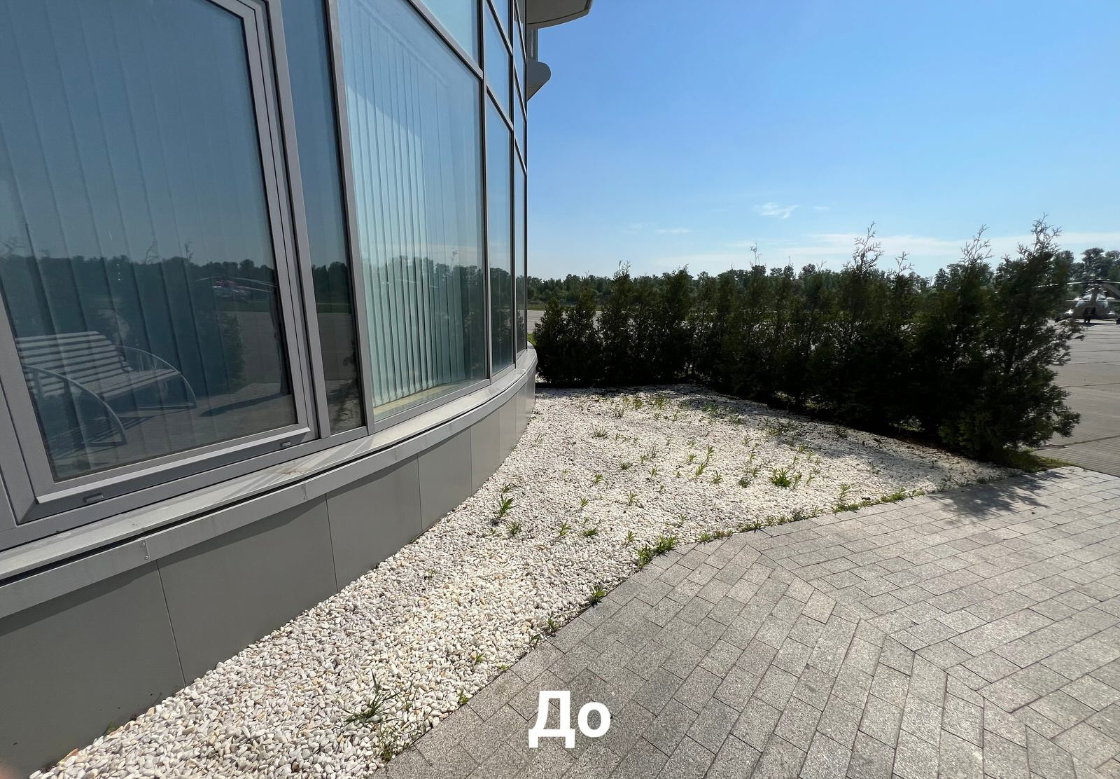 Контейнерный сад