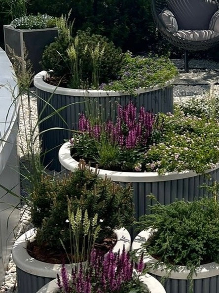 Контейнерный сад