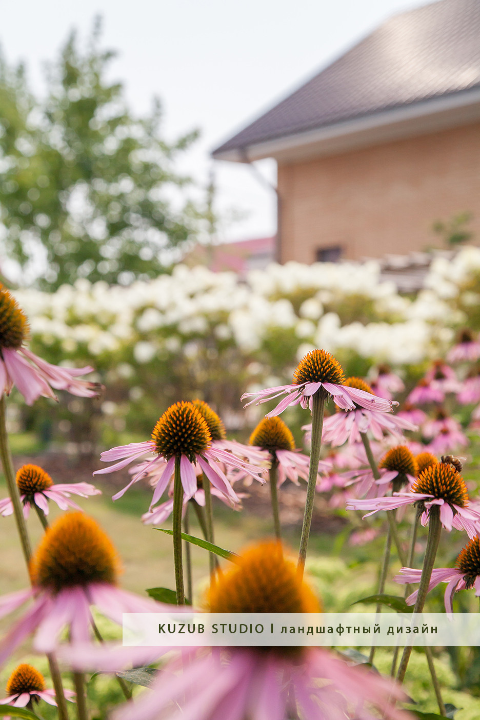 РЕАЛИЗАЦИЯ