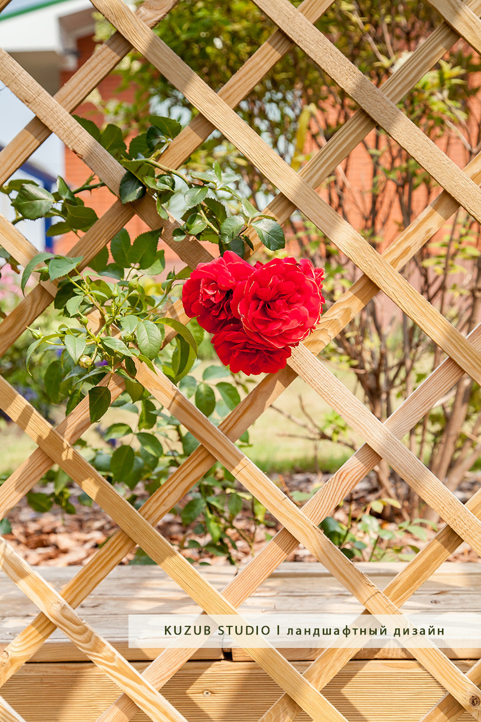 РЕАЛИЗАЦИЯ