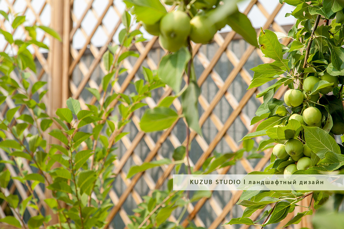 РЕАЛИЗАЦИЯ