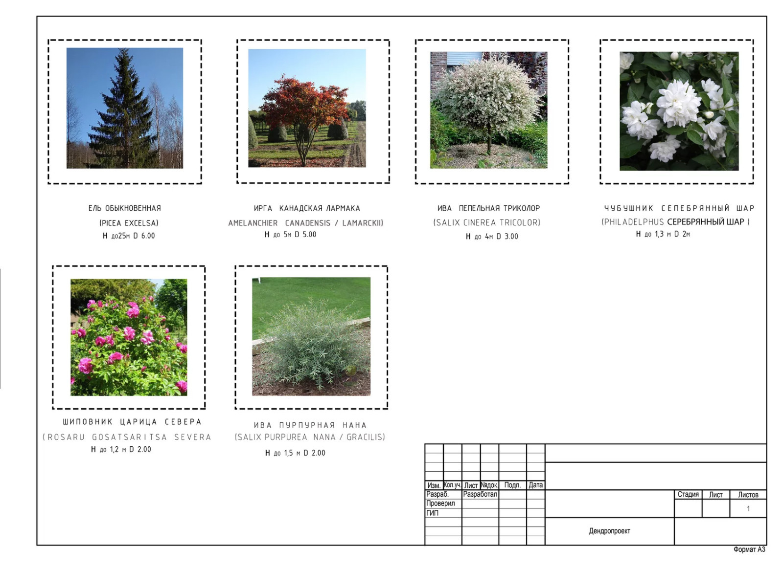 Обложка проекта: Движение Рекой