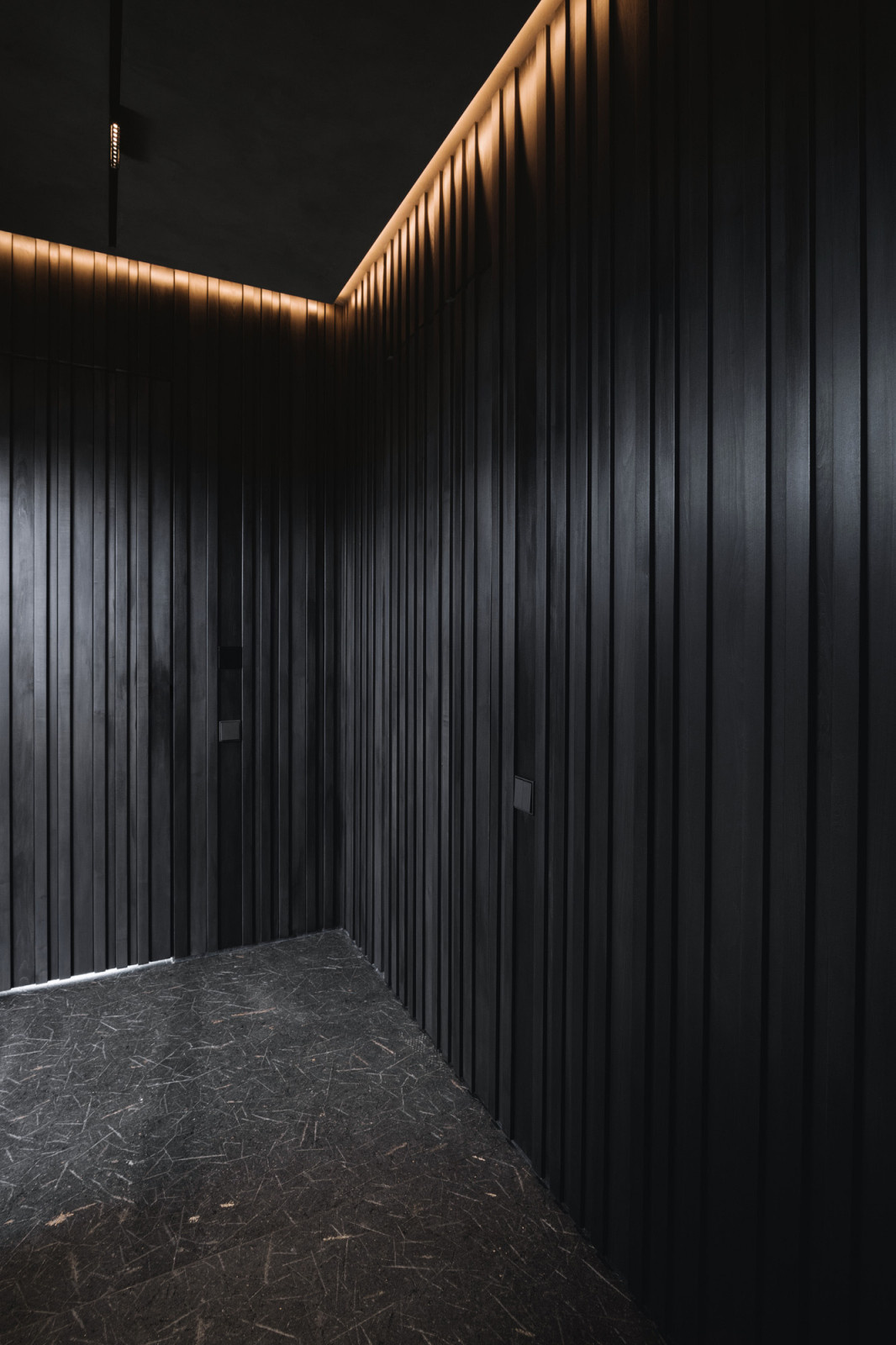 Коридор банного дома из тонированной липы