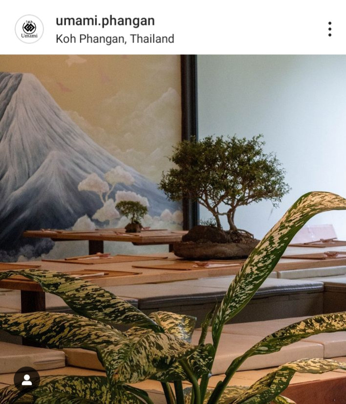 Umami Japanese Organic Restorant