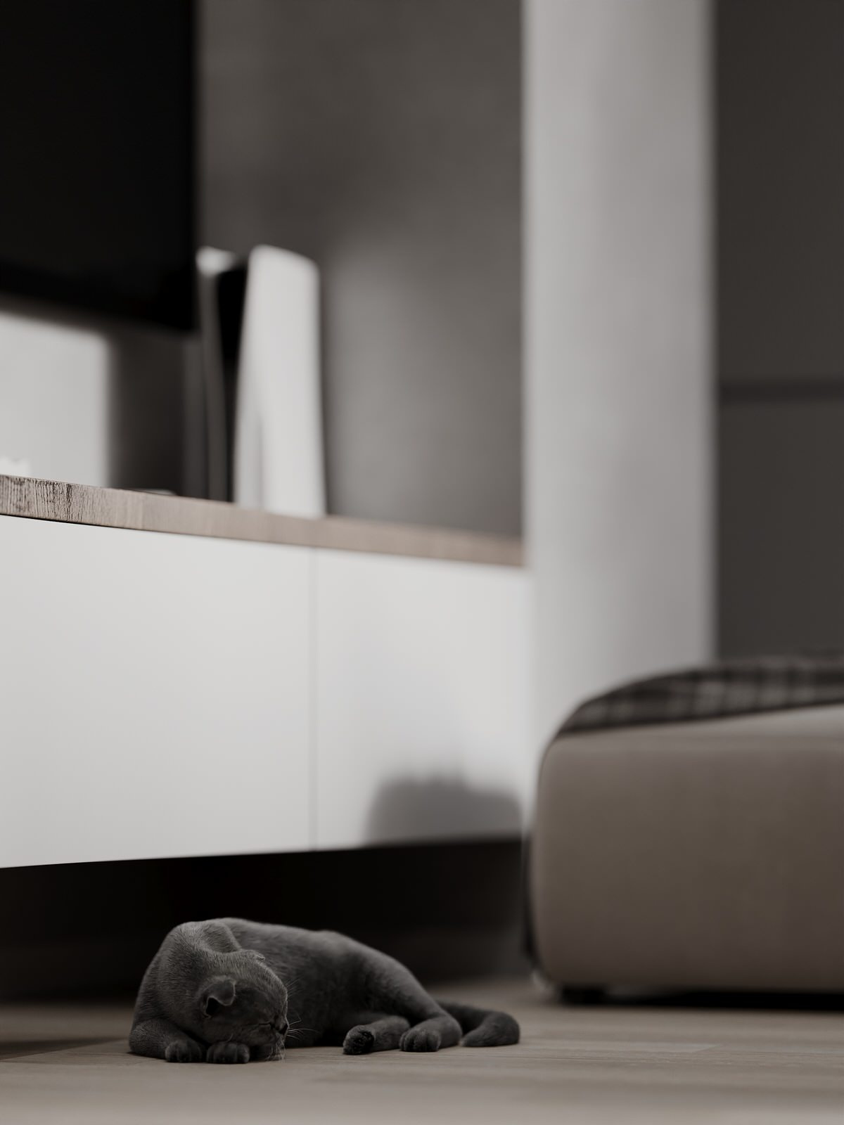 Дизайн-проект однокомнатной квартиры