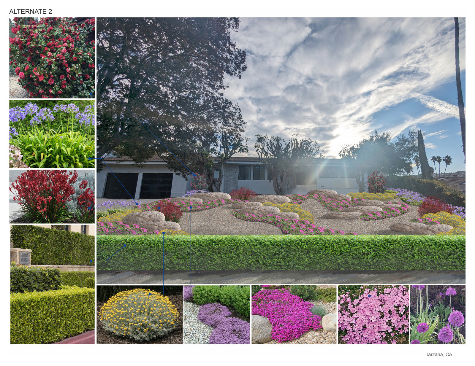 Обложка проекта: Brewster