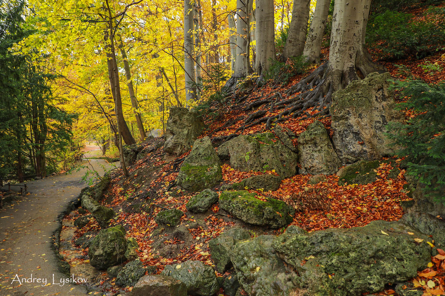 Мюнхен - парк Максимилиансанлаген (Maximiliansanlagen)