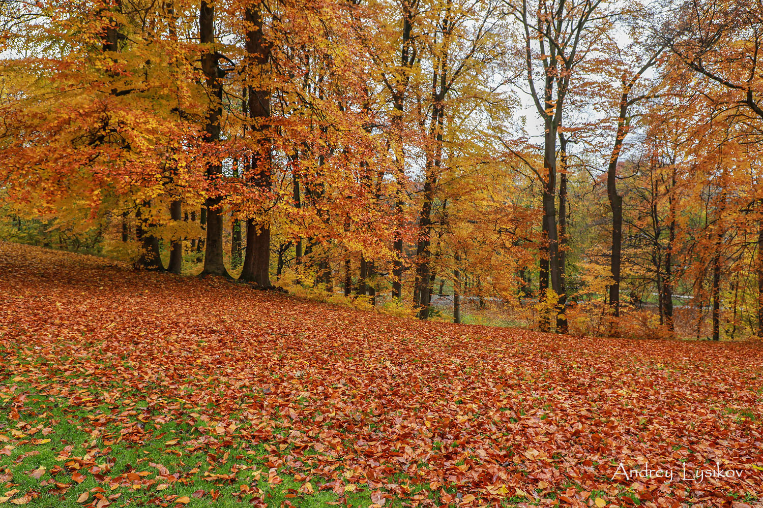 Мюнхен - парк Максимилиансанлаген (Maximiliansanlagen)
