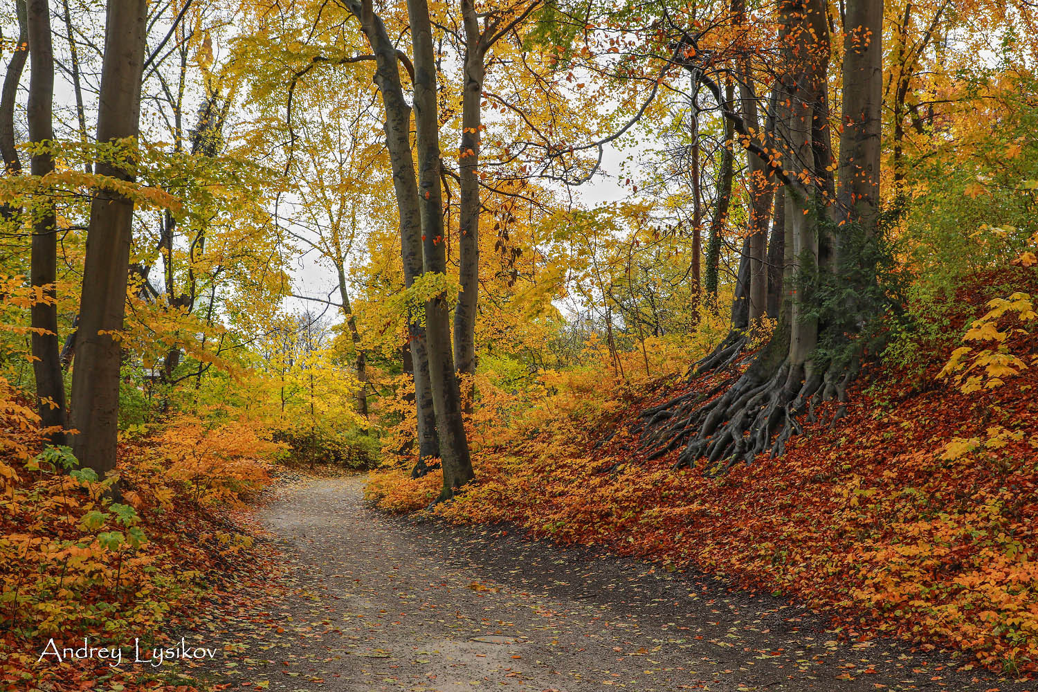 Мюнхен - парк Максимилиансанлаген (Maximiliansanlagen)