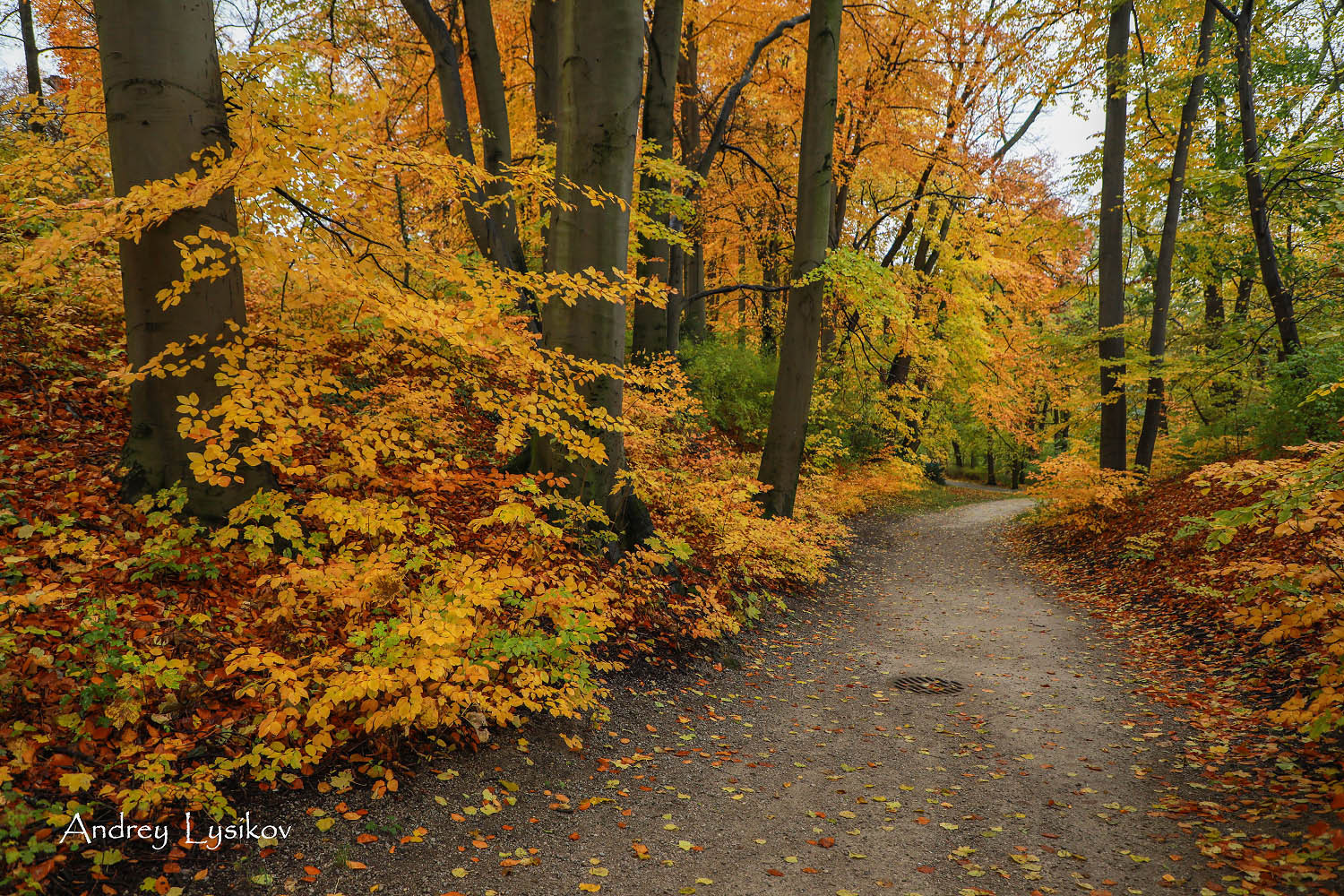 Мюнхен - парк Максимилиансанлаген (Maximiliansanlagen)