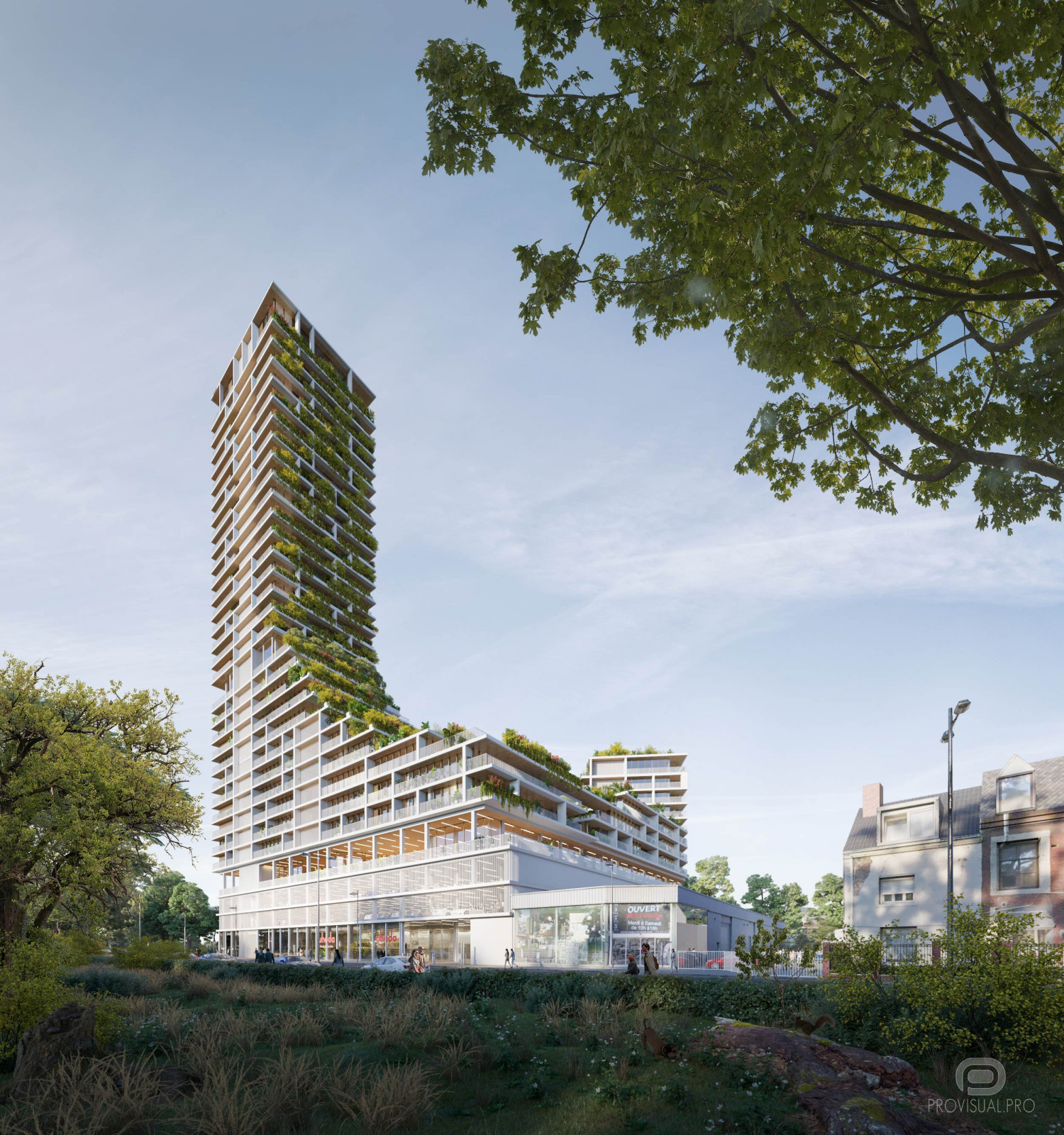 LIEGE COMP II