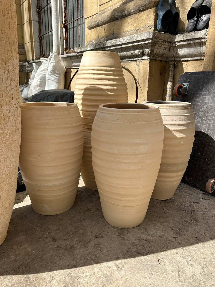 Горшки для офиса крупной строительной компании