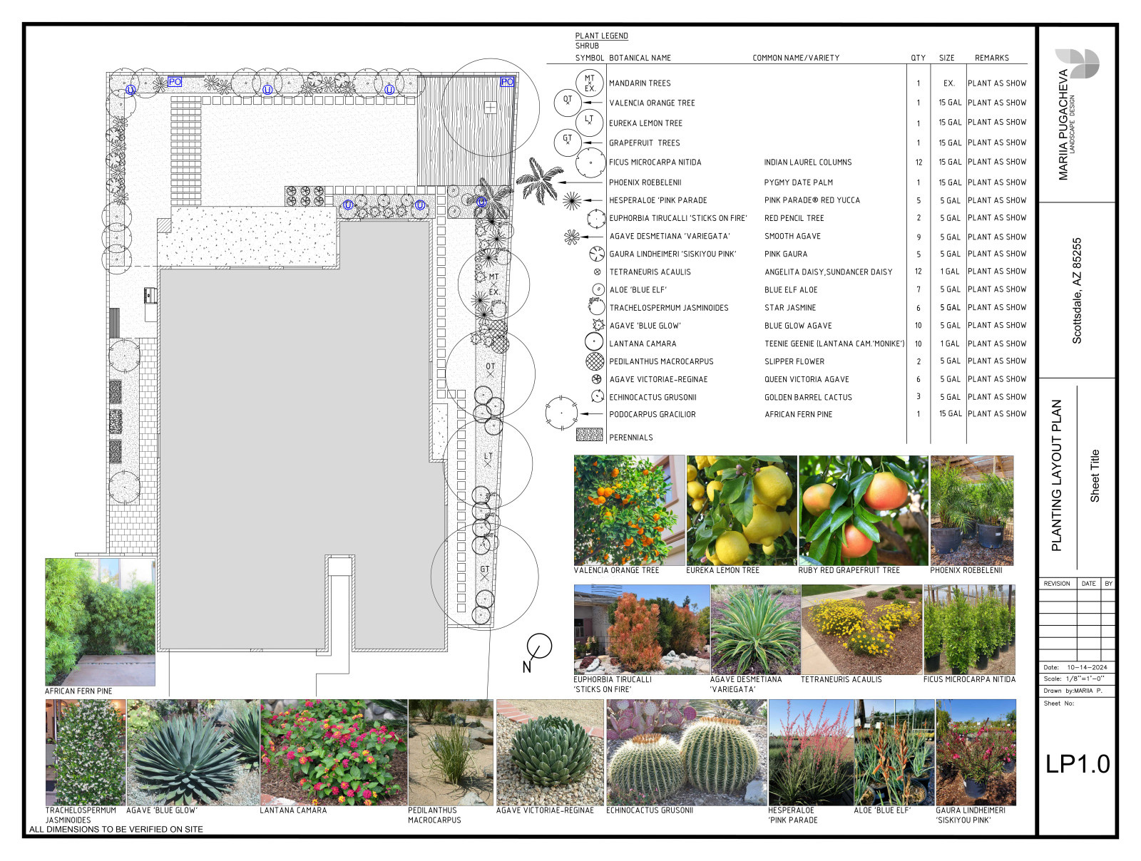 Обложка проекта: SCOTTSDALE GARDEN (Arizona)