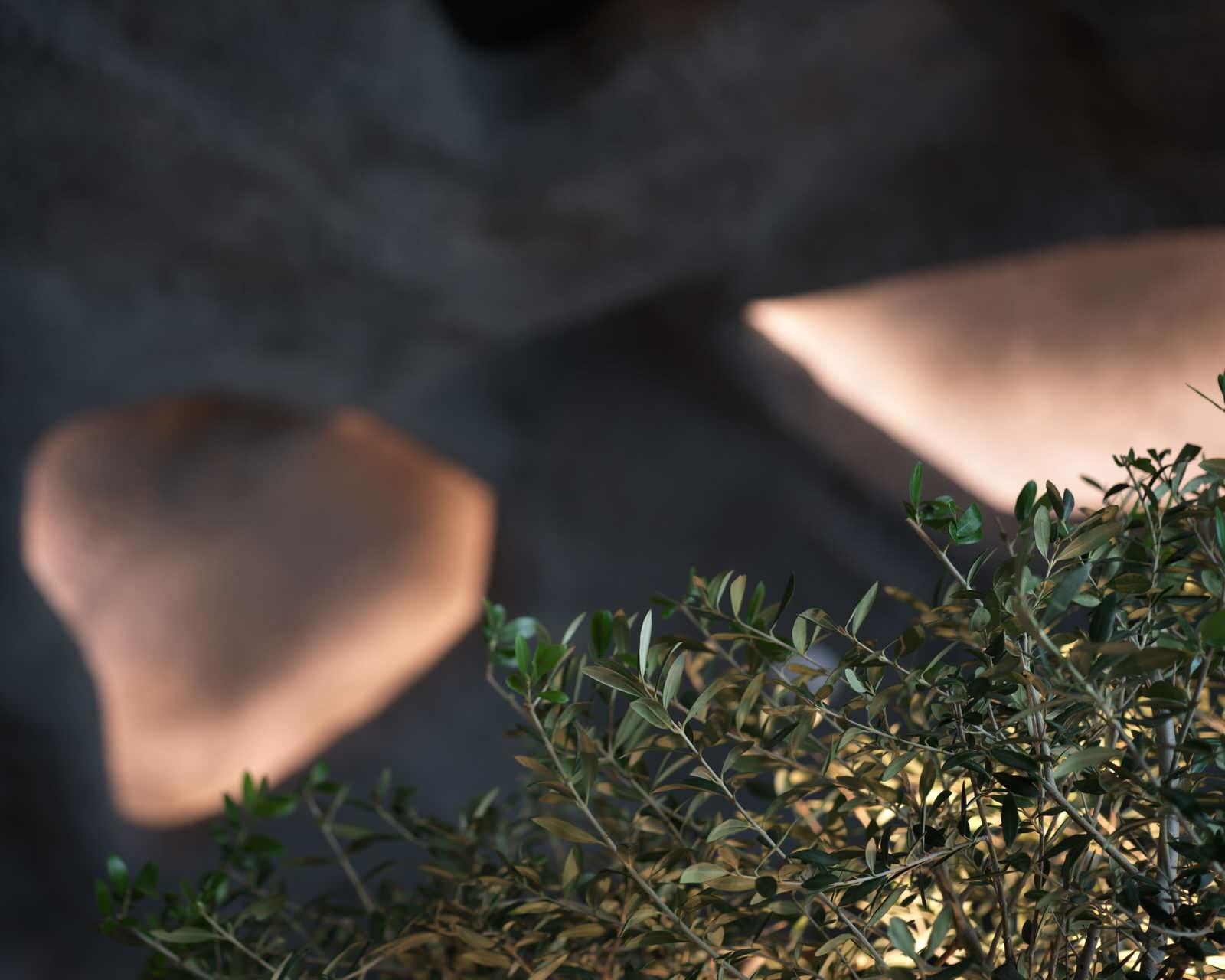 Ресторан Cave