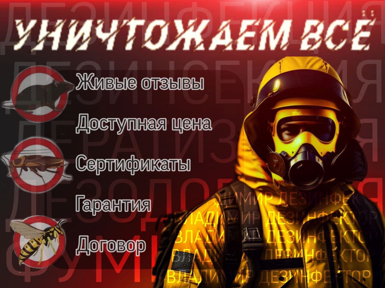 Обложка проекта: Дезинсекция