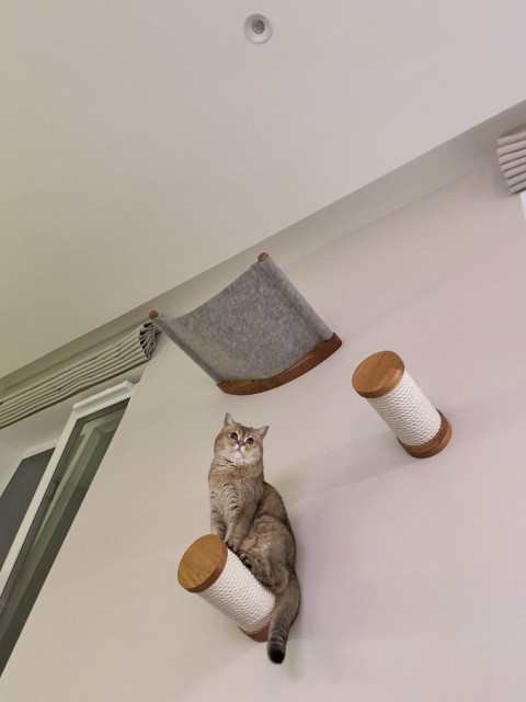 МОСКВА  НАГОРНАЯ   53 м