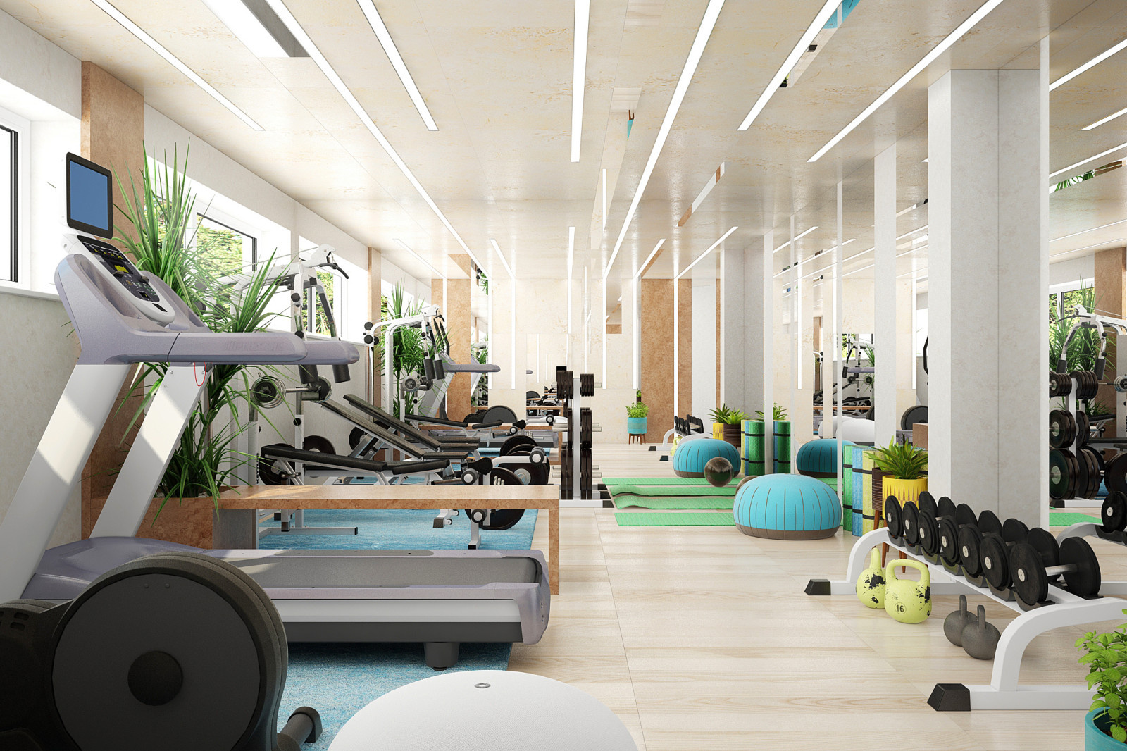 Home Gym