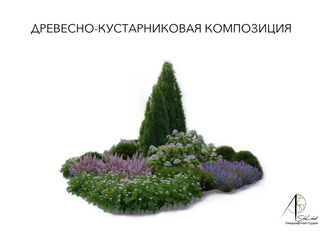 Солнце в кронах
