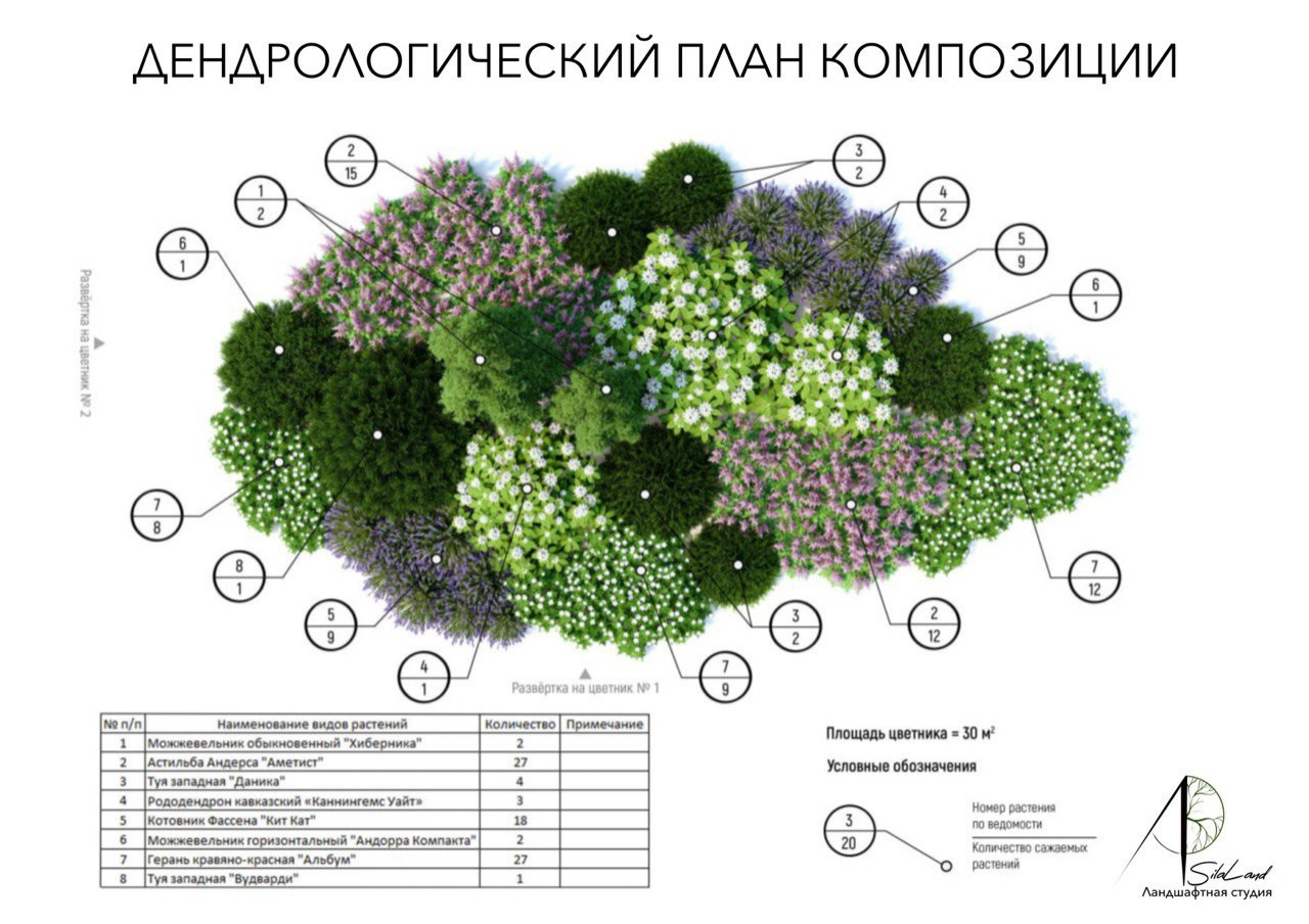 Солнце в кронах