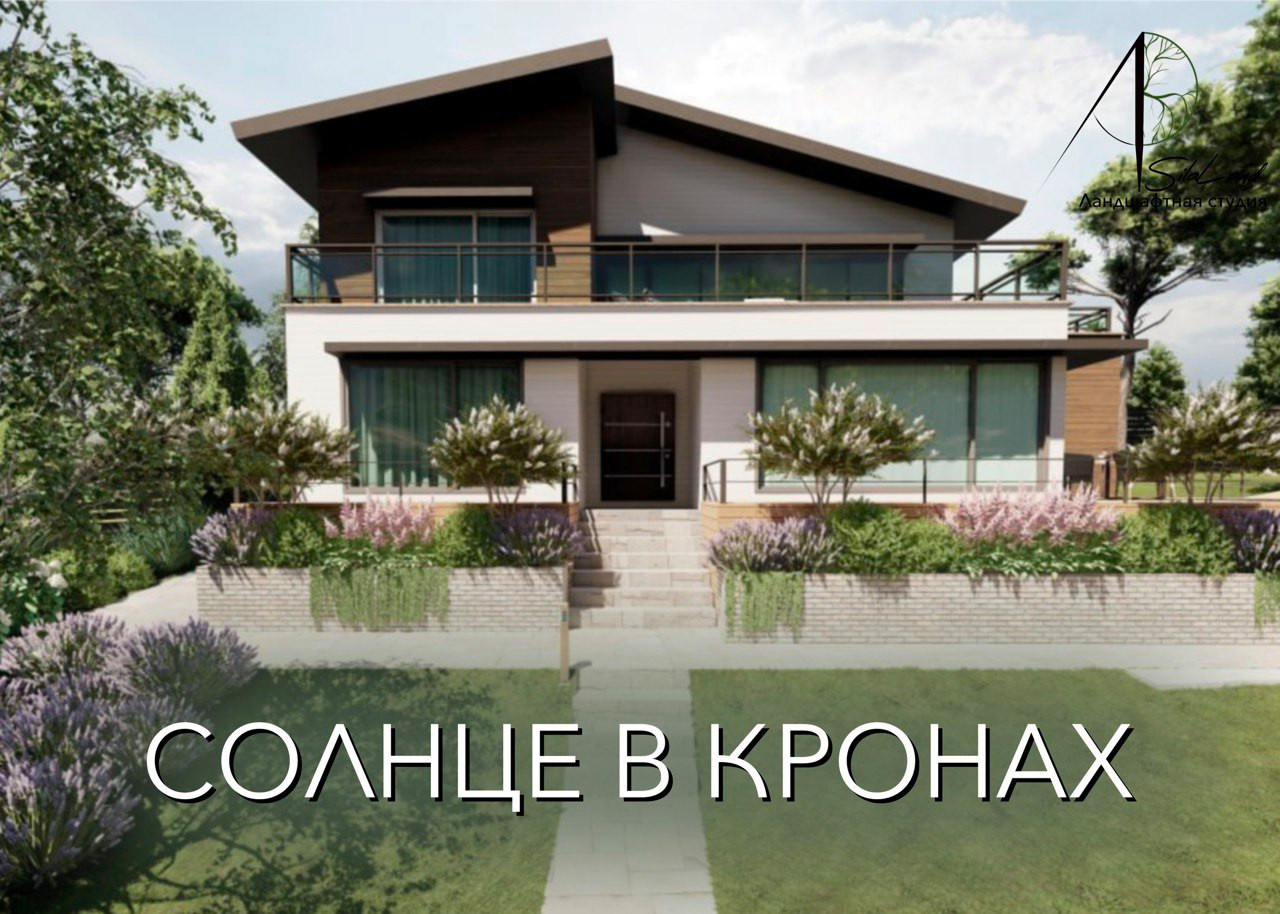 Солнце в кронах