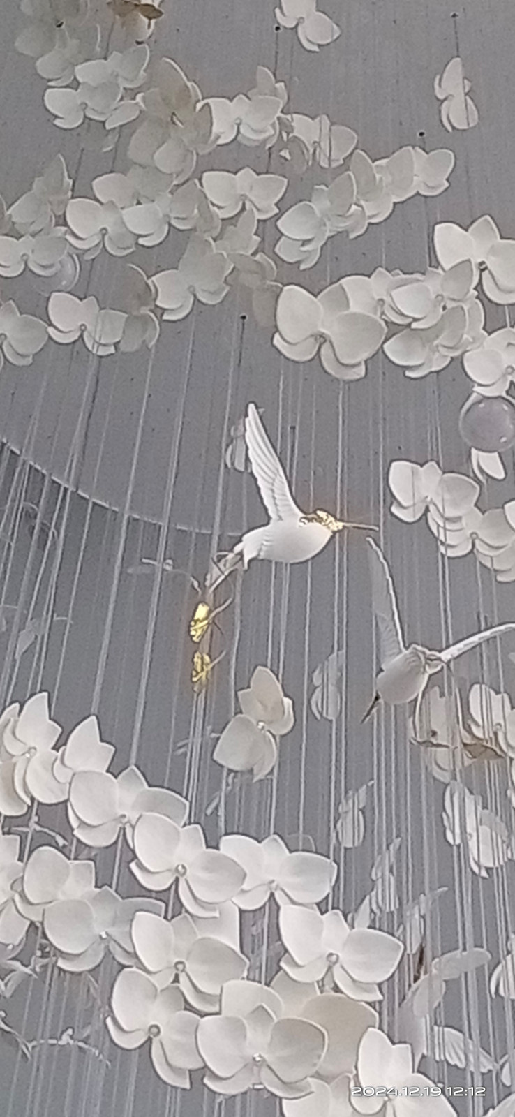 Серебряный Бор