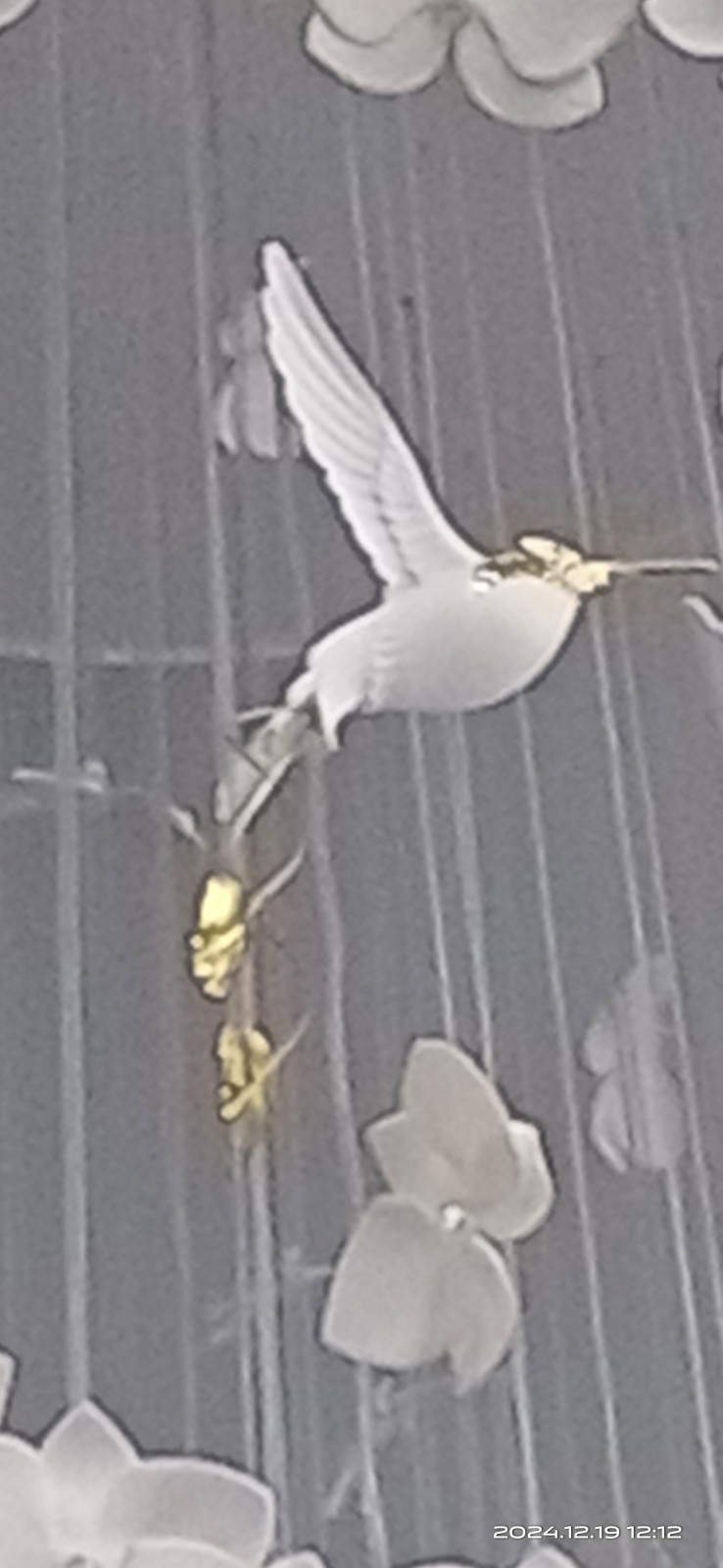 Серебряный Бор