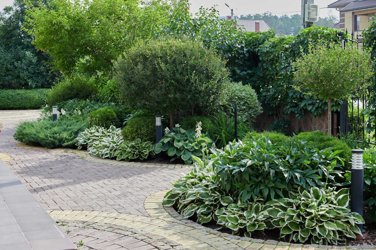 Сад свежести