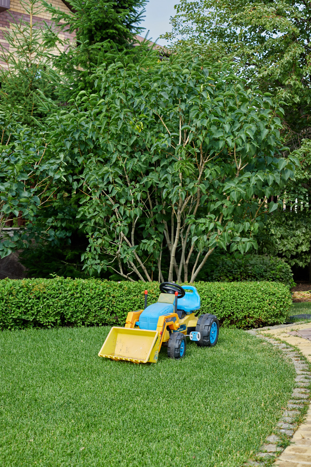 Сад свежести