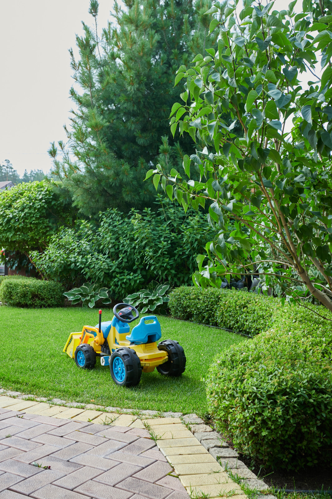 Сад свежести