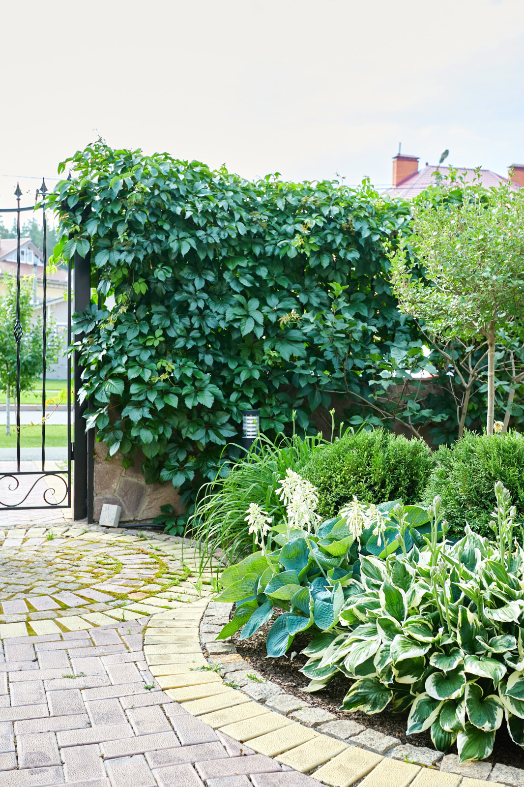 Сад свежести