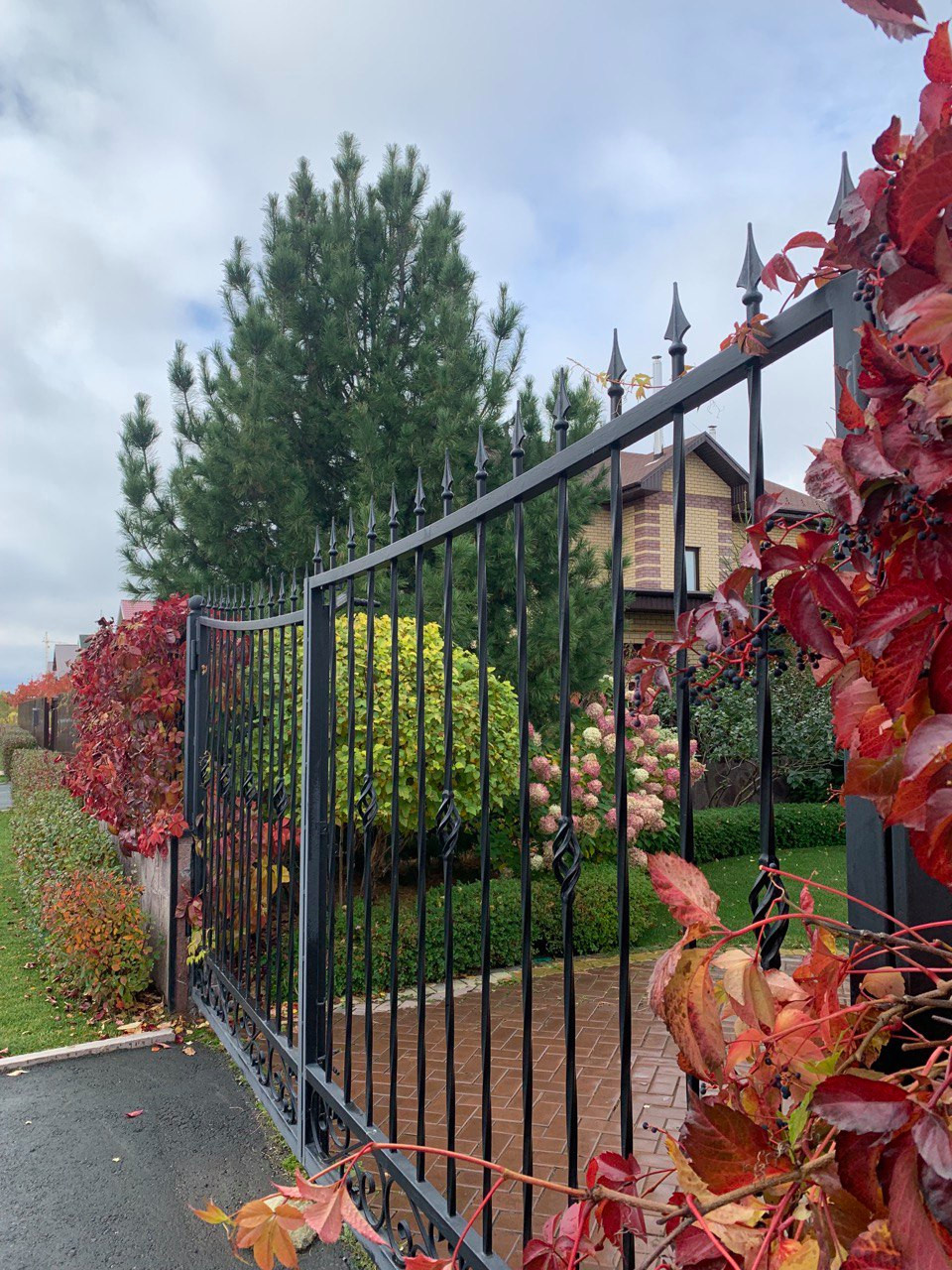 Сад свежести