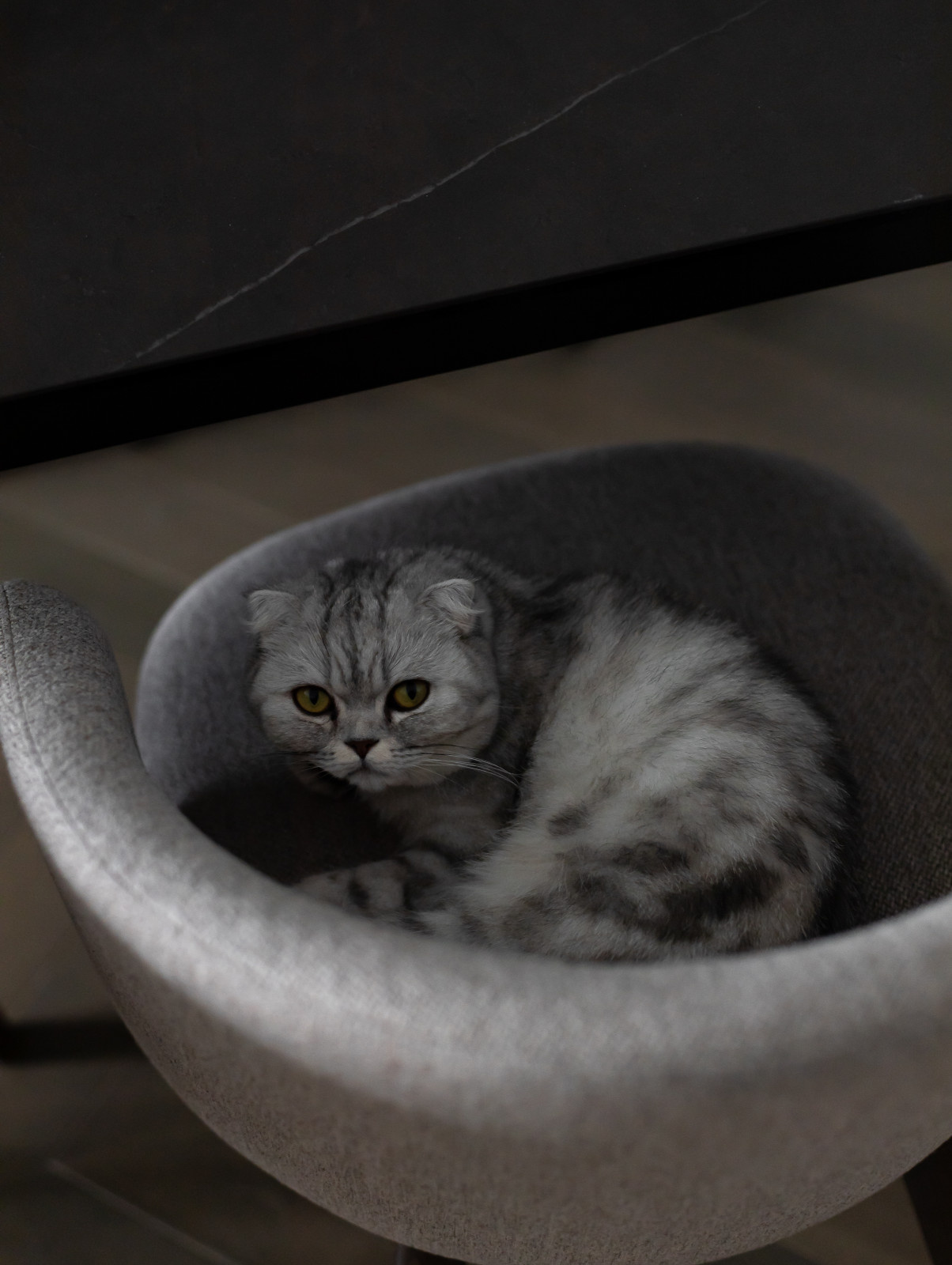 Башня Свободы