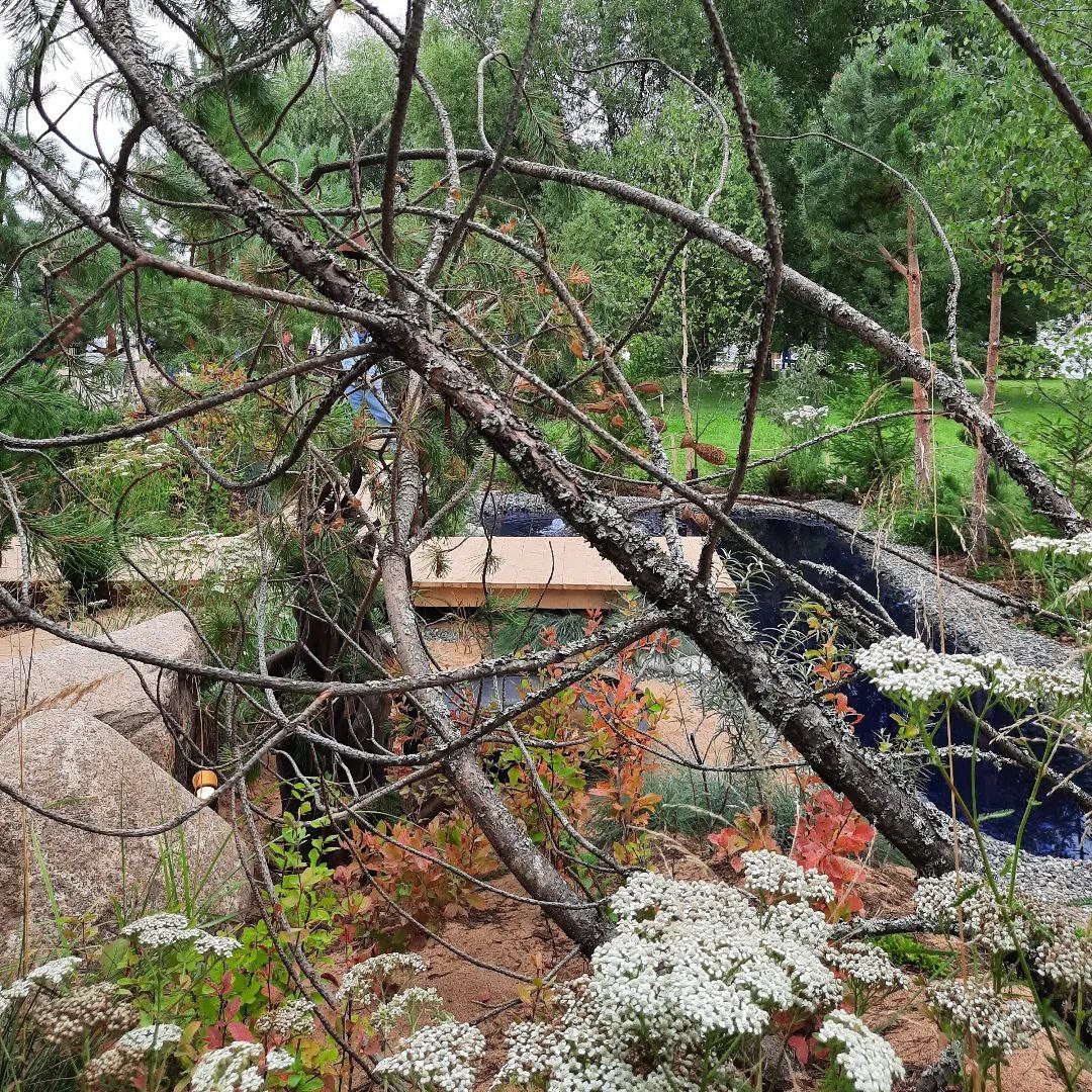 Выставочный сад о Куршской косе на фестивале садов в Царицыне "Дом Воды и Ветра"