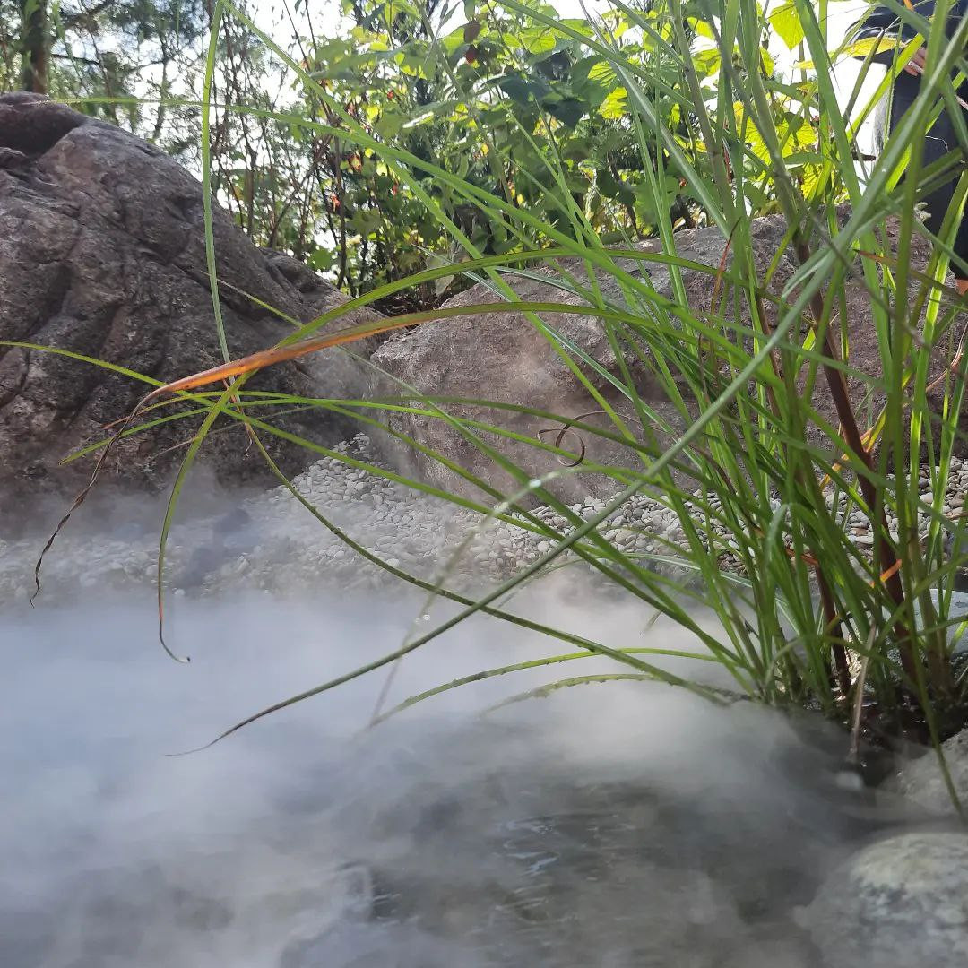 Выставочный сад о Куршской косе на фестивале садов в Царицыне "Дом Воды и Ветра"