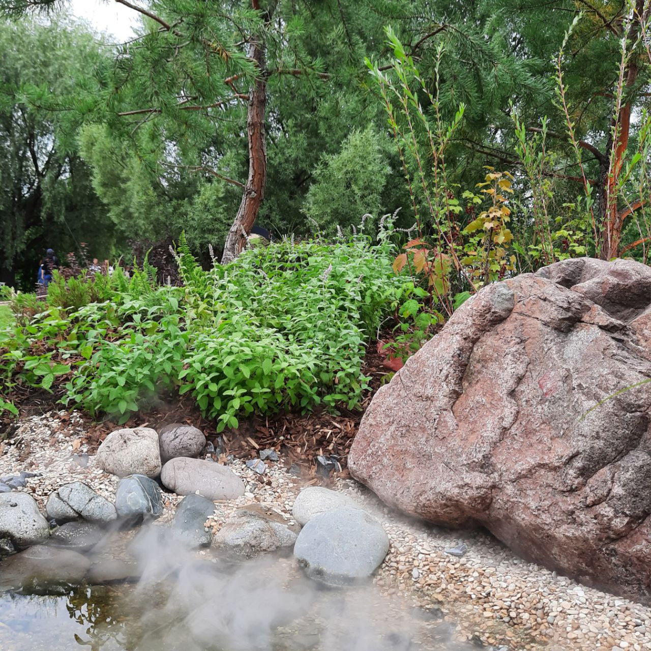 Выставочный сад о Куршской косе на фестивале садов в Царицыне "Дом Воды и Ветра"