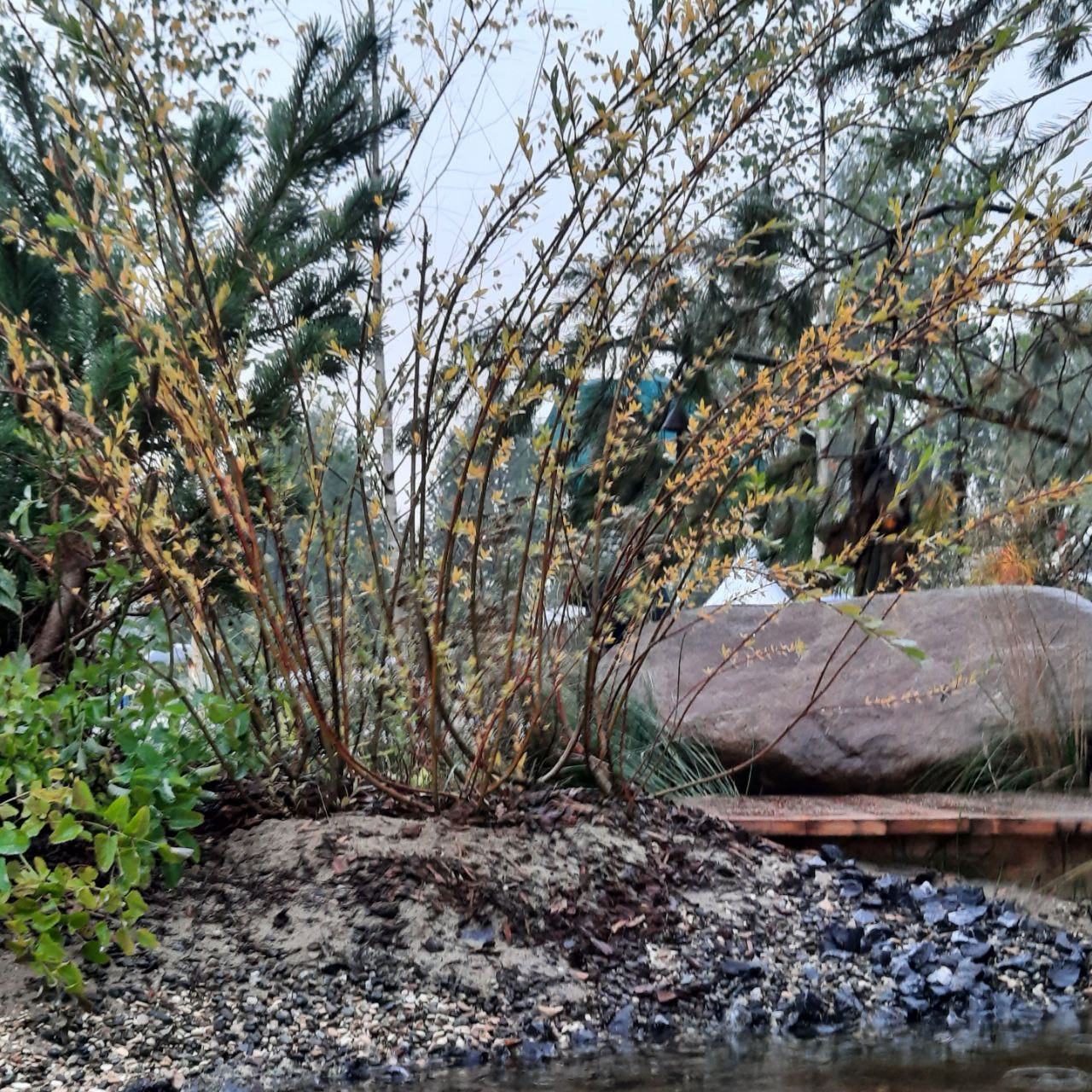 Выставочный сад о Куршской косе на фестивале садов в Царицыне "Дом Воды и Ветра"