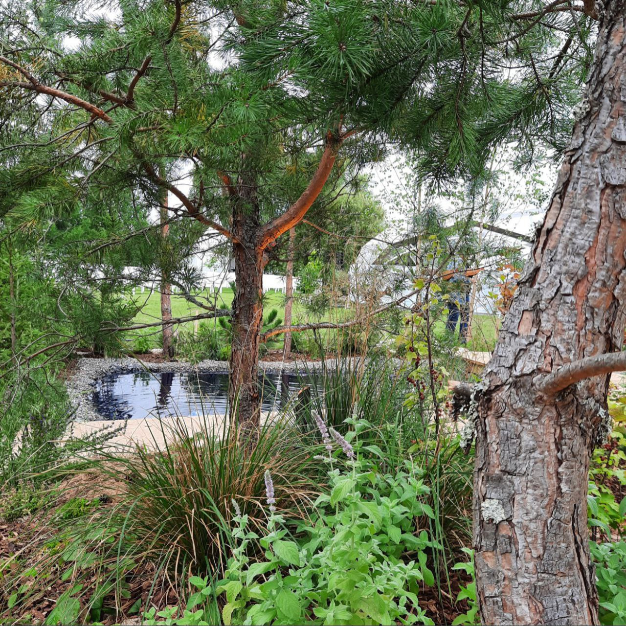 Выставочный сад о Куршской косе на фестивале садов в Царицыне "Дом Воды и Ветра"
