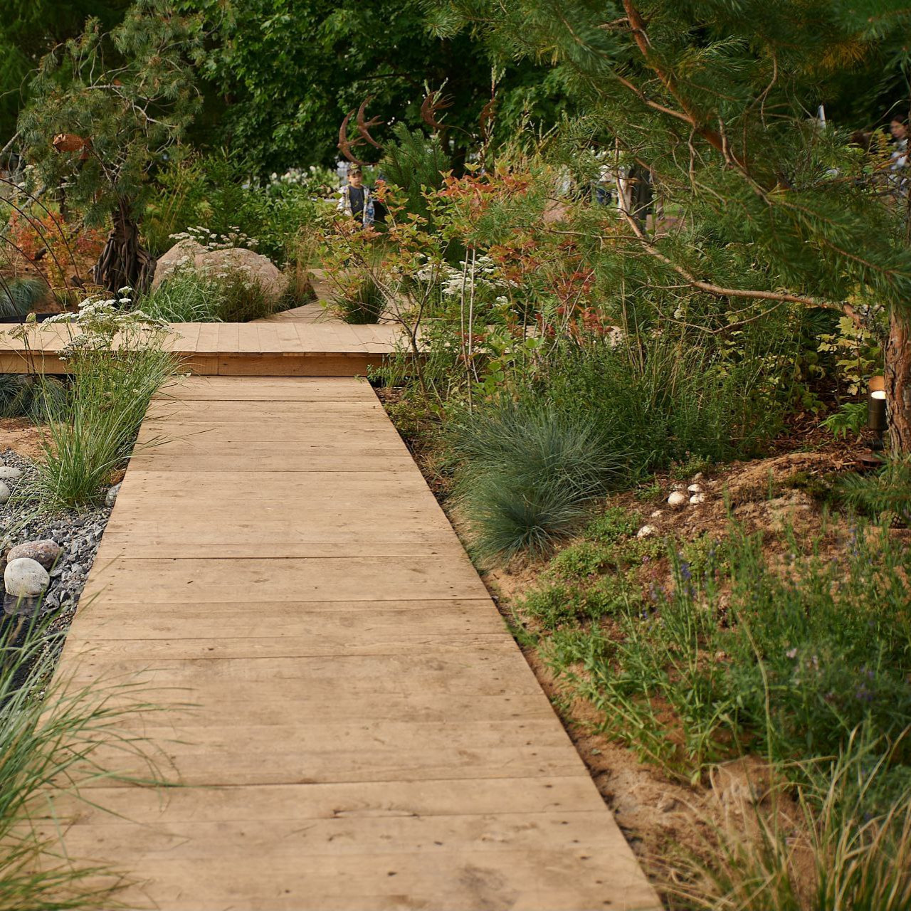 Выставочный сад о Куршской косе на фестивале садов в Царицыне "Дом Воды и Ветра"