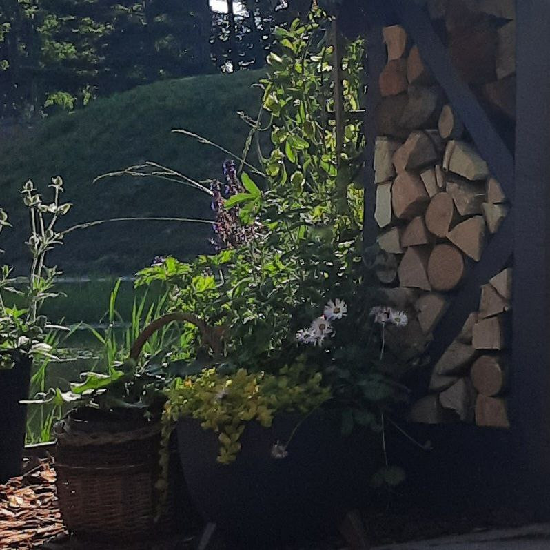 Выставочный сад Фестиваль Зелёная Комната в Калининграде "Другой сад"