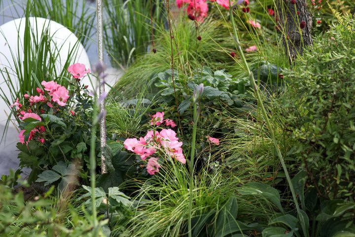 Выставочный сад на фестивале в Царицыне "Видение розы"