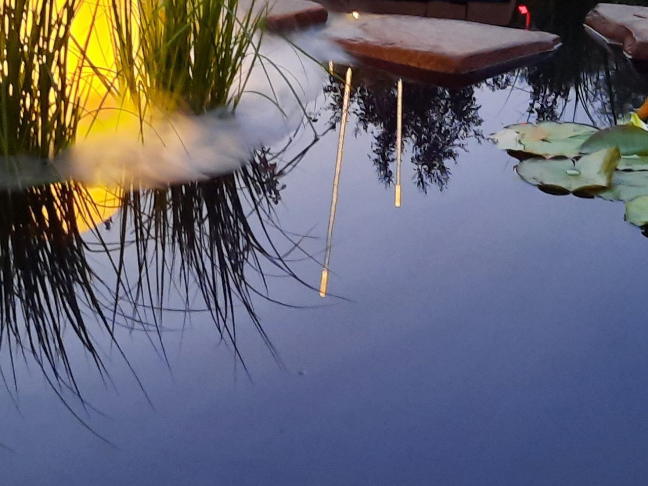 Выставочный сад на фестивале в Царицыне "Видение розы"