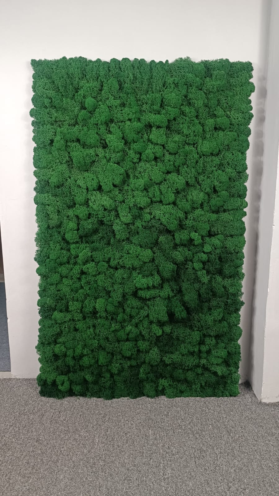 Фитопанно для салона дверей Prestige