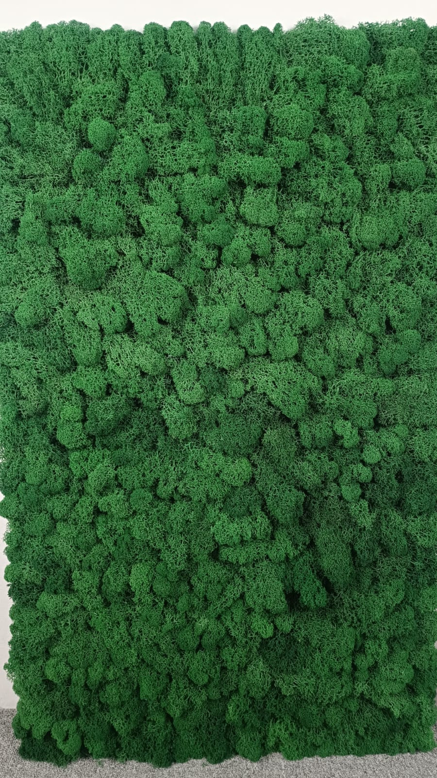 Дизайнерское панно из мха – стиль и экология