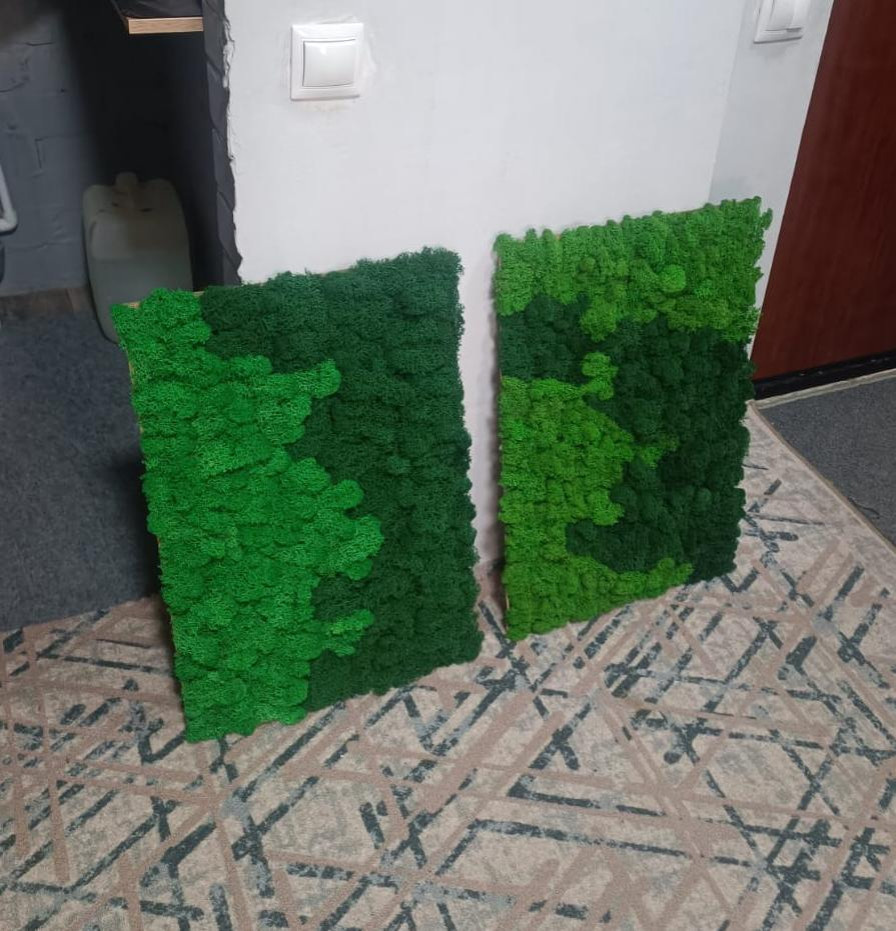 Панно из стабилизированного мха – монохром