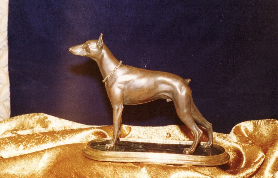 Авторские модели