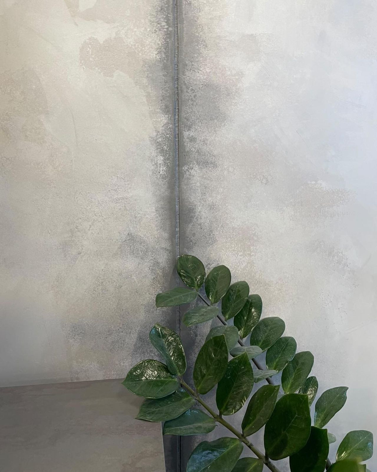 Loft-шик в офисе: декоративная штукатурка ArtBeton