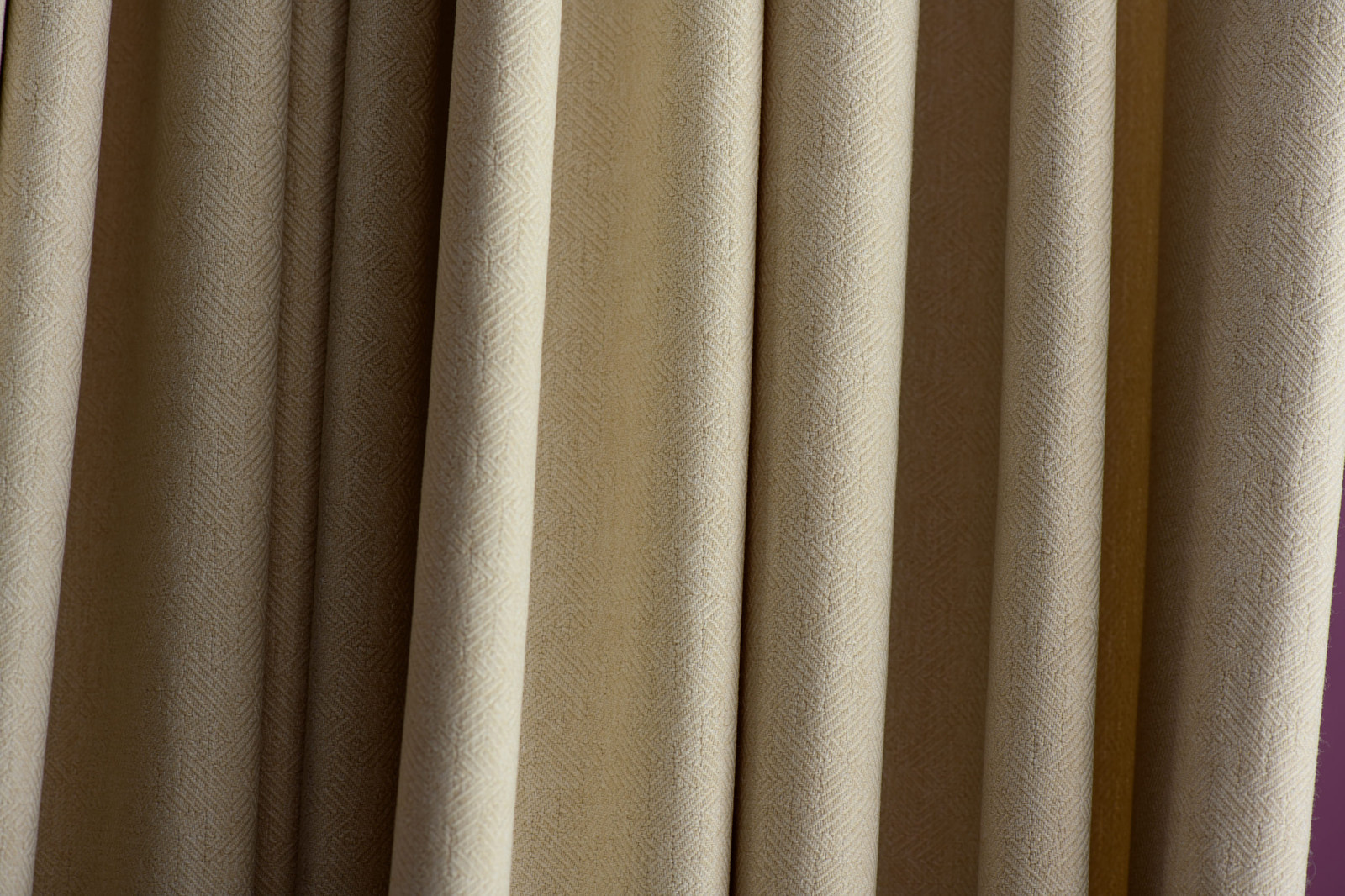 Квартирный вопрос - цветущая магнолия