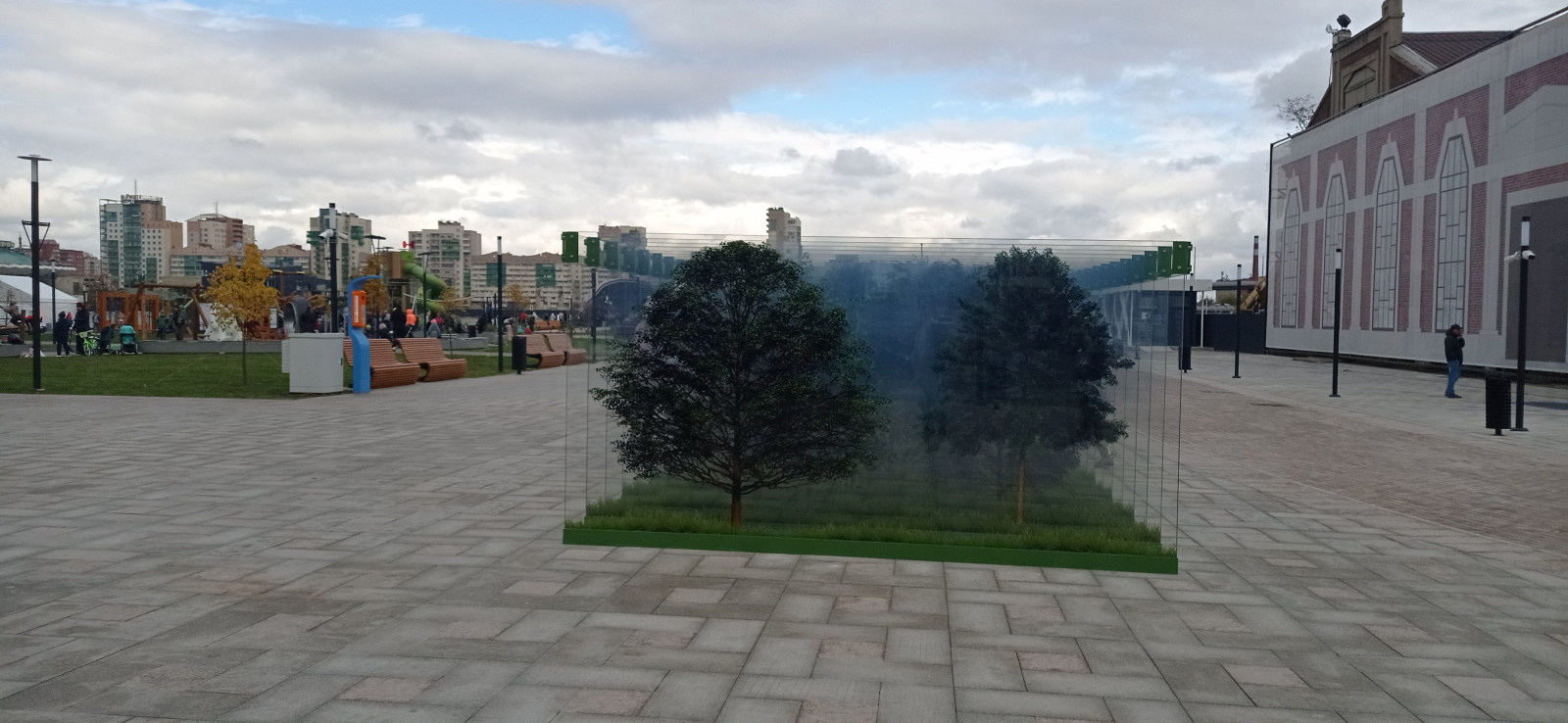 Стеклянный лес